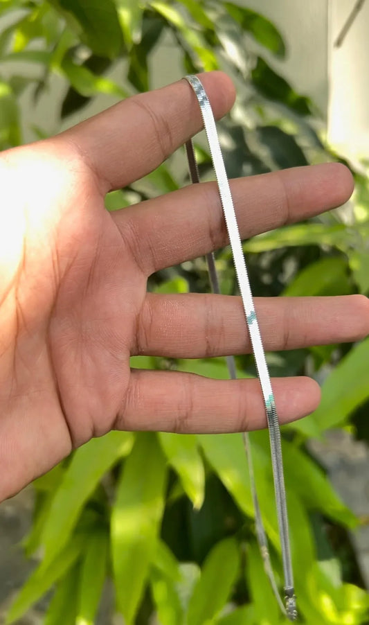 Snake Stainless Steel Chain With Free Delivery